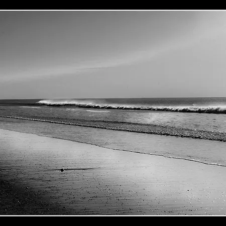 Le Coureau 2* Saint-Trojan-les-Bains